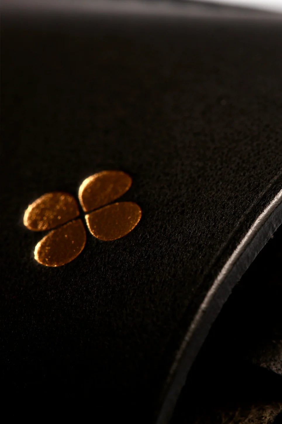 black and gold glasses case